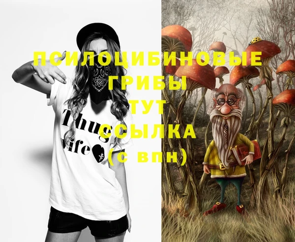 прущий лед Майский