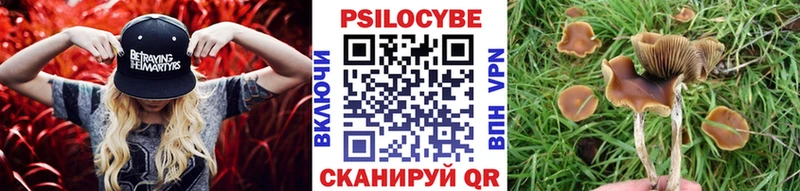 Псилоцибиновые грибы Magic Shrooms  Купить  Солнечногорск 